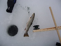 Ice Fishing on X-Mass Break Fishing Report