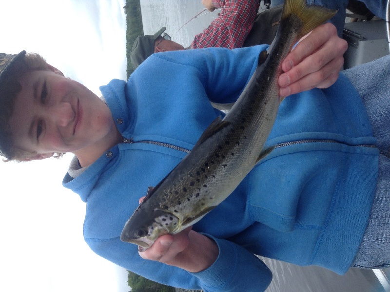 My best salmon, 16 inches near Van Buren