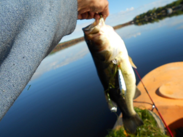 caught 9/24/2012 hermon pond