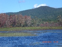 Saco River, Me Fishing Report