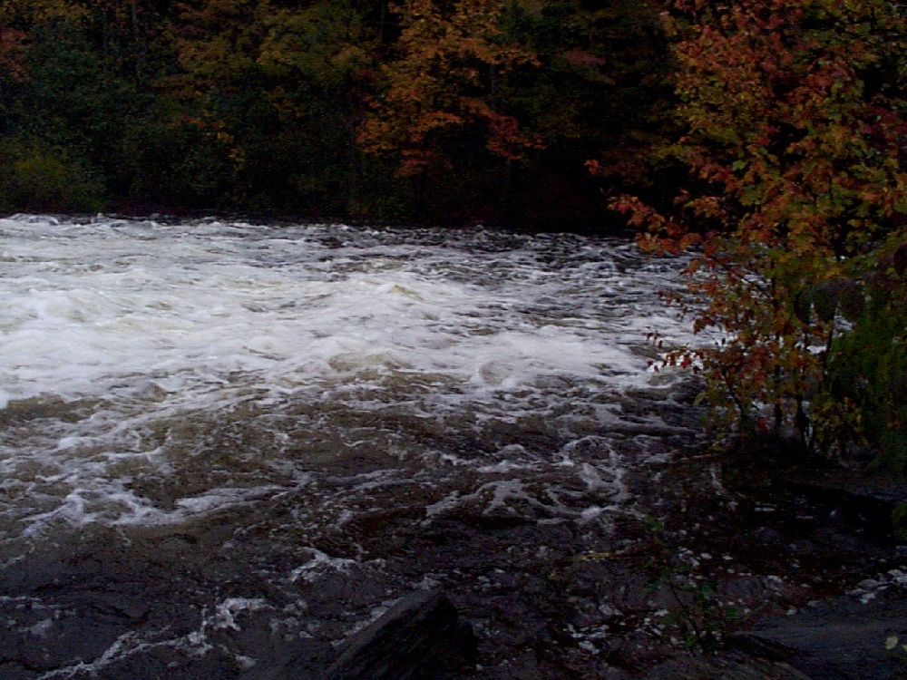 salmon falls river near Alfred