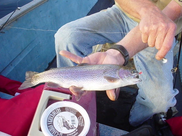 Waterboro fishing photo 2
