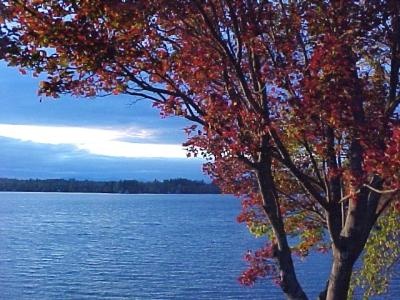 Porter Lake