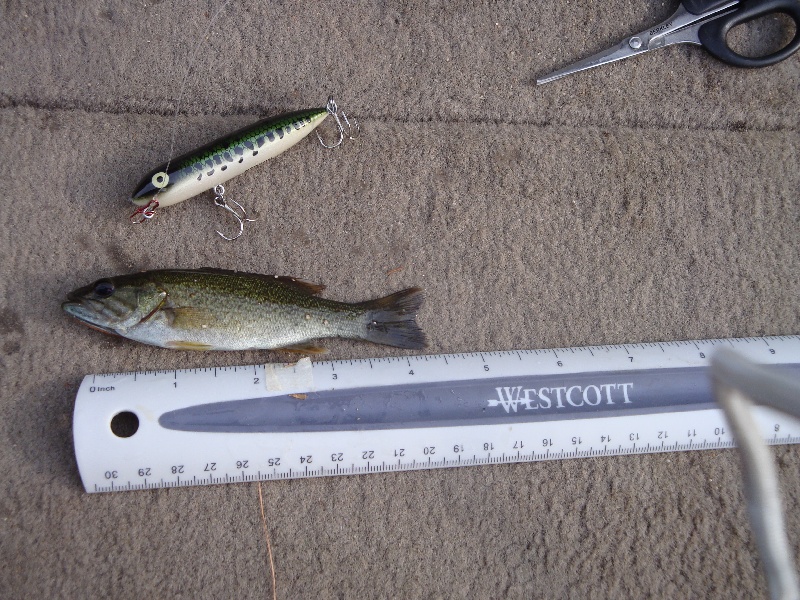 Fishing near Hollis in York County, Maine - ME Fish Finder