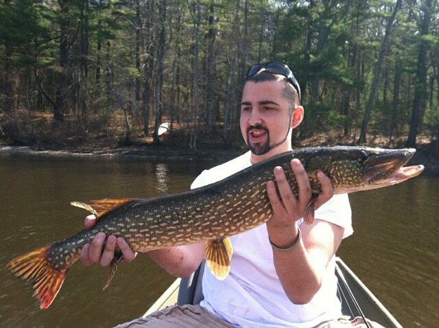 big pike