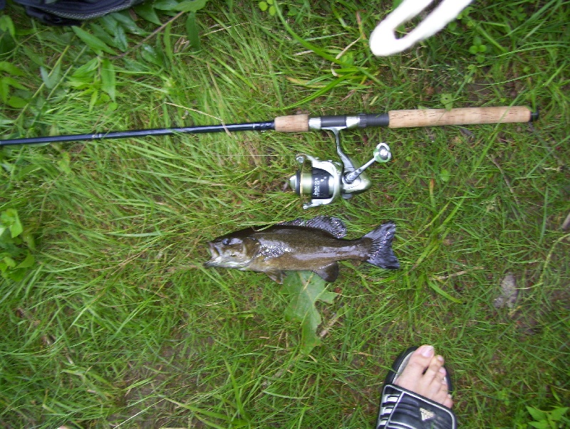 Fishing near Orono in Penobscot County, Maine - ME Fish Finder
