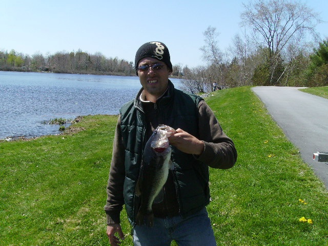 Damon Deroche Toddy Largemouth