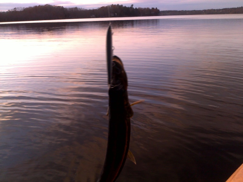 fishing hermon pond - Hampden