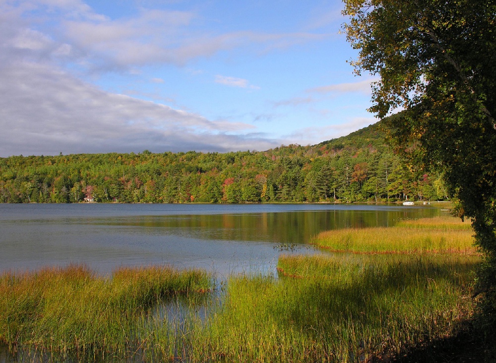 Hobbs Pond