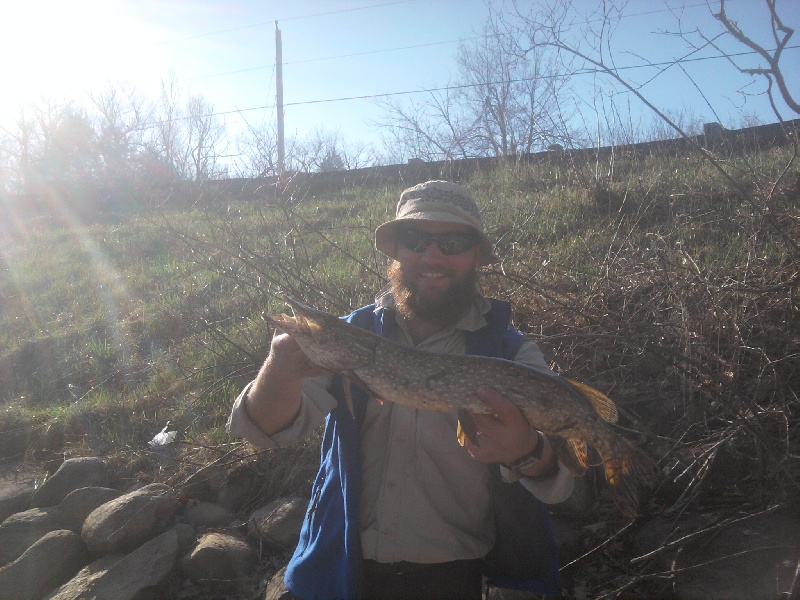 Northern Pike