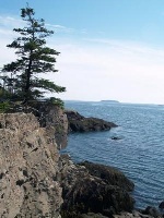 Machias Bay