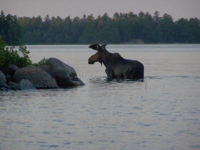 Nicatous Lake