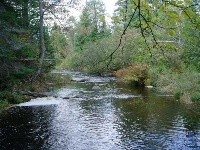 Sheepscot River